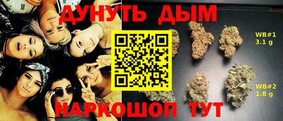 мдпв Ливны